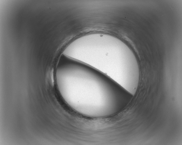 X0000067910020200604131120