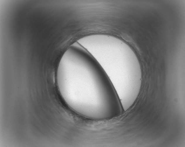 X0000067910021200604131120