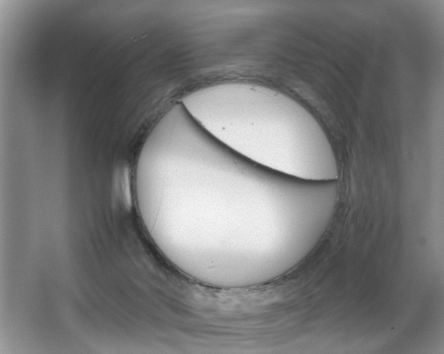 X0000067910022200604131120