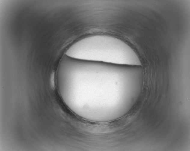 X0000067910024200604131120