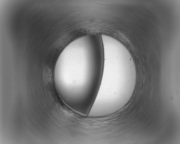 X0000067910025200604131120