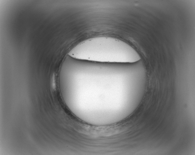 X0000067910026200604131120