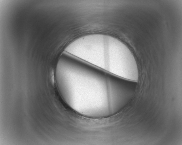 X0000067910027200604131120