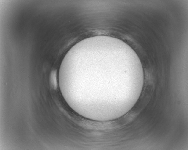 X0000067910028200604131120