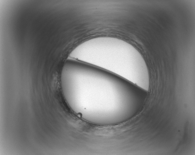 X0000067910029200604131120