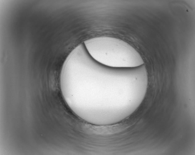 X0000067910030200604131120