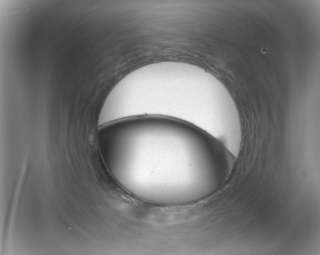 X0000067910033200604131120