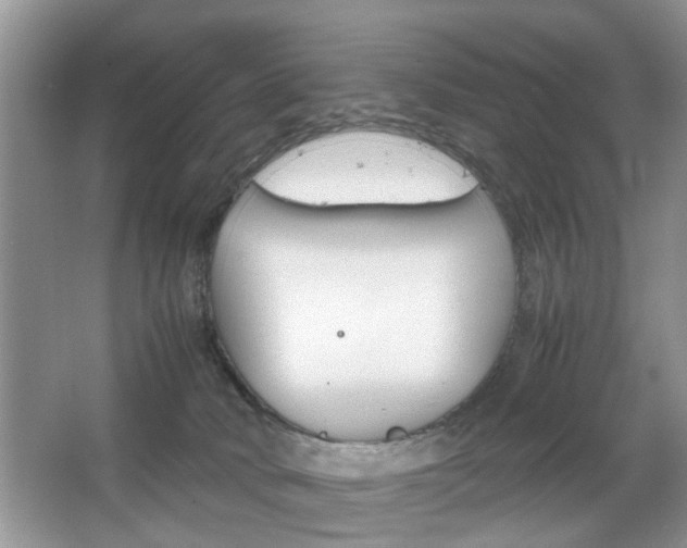 X0000067910034200604131120