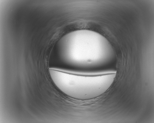 X0000067910035200604131120