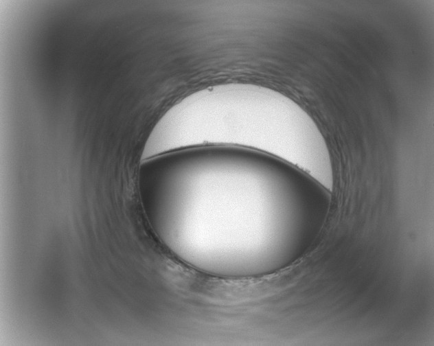 X0000067910037200604131120