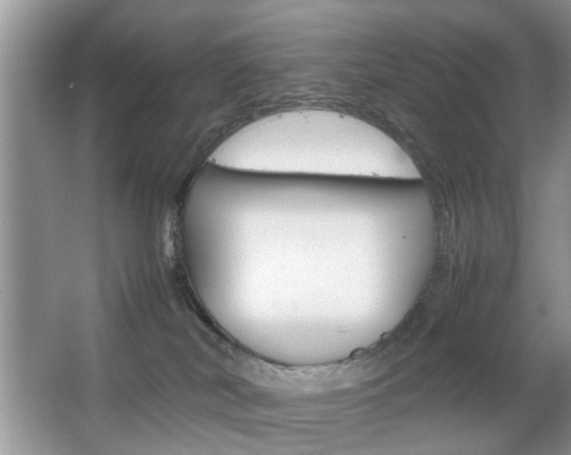 X0000067910038200604131120