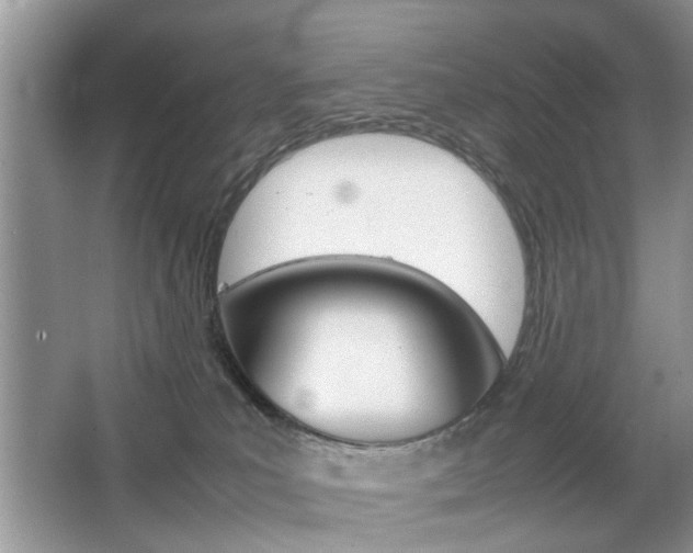 X0000067910039200604131120