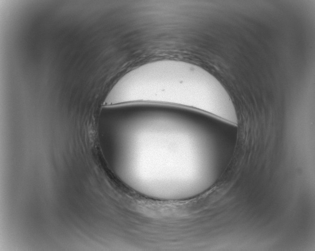 X0000067910040200604131120