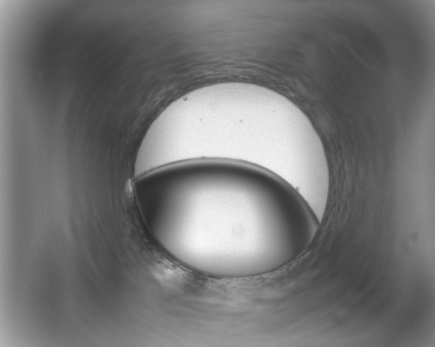 X0000067910041200604131120