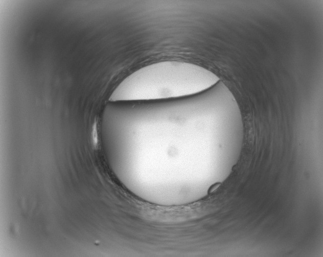 X0000067910042200604131120