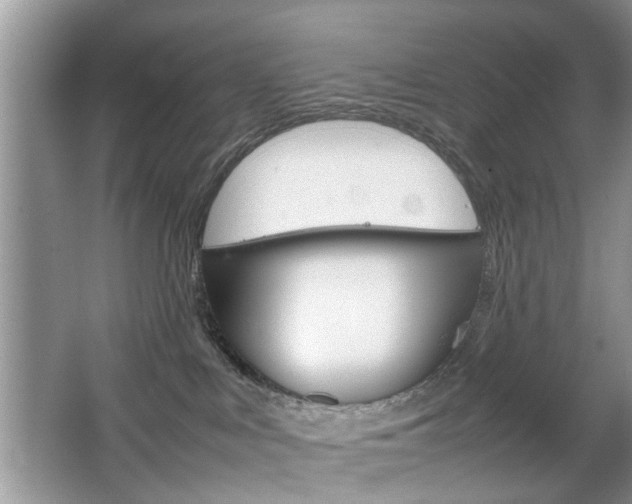 X0000067910043200604131120