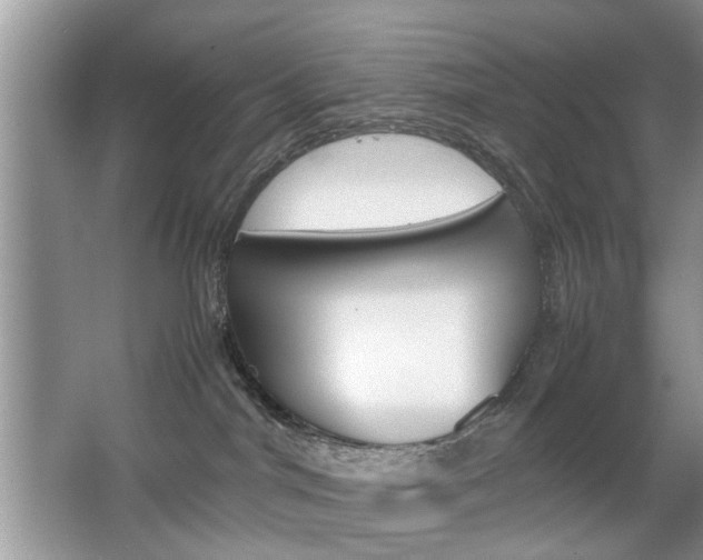 X0000067910044200604131120