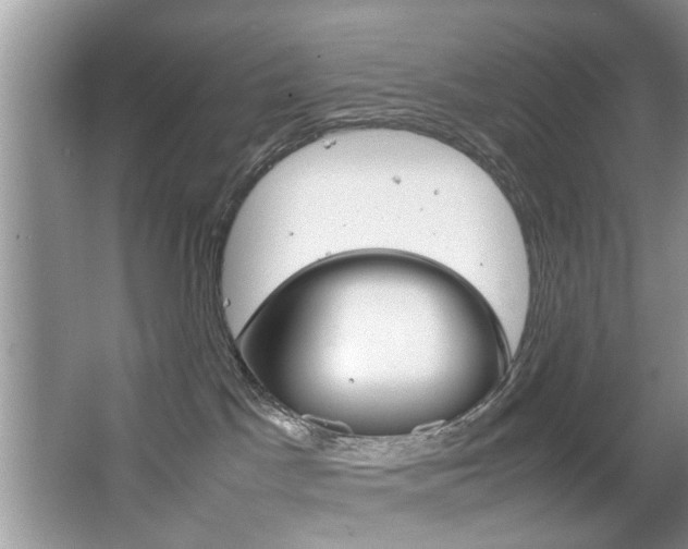 X0000067910045200604131120