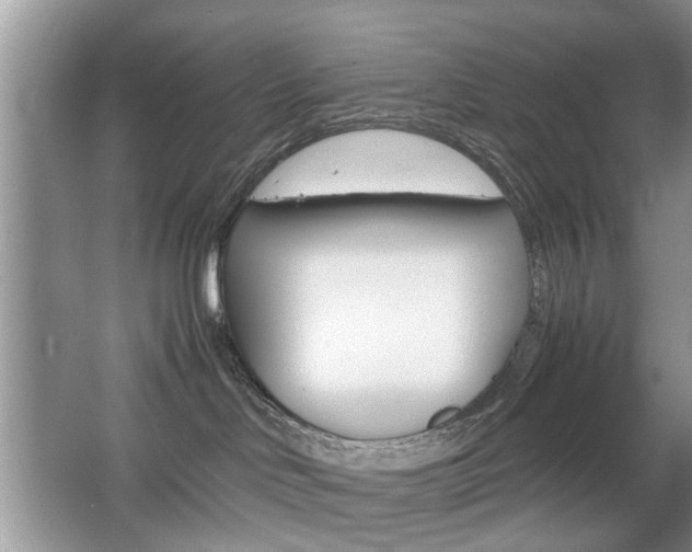 X0000067910046200604131120