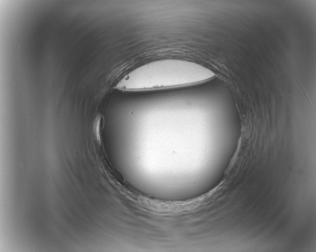 X0000067910047200604131120