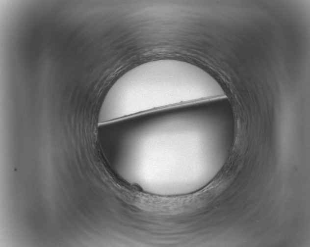 X0000067910048200604131120