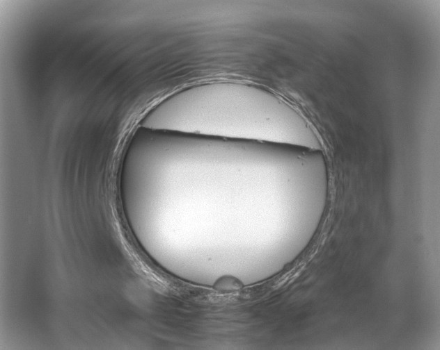 X0000067910049200604131119