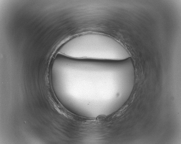 X0000067910050200604131119