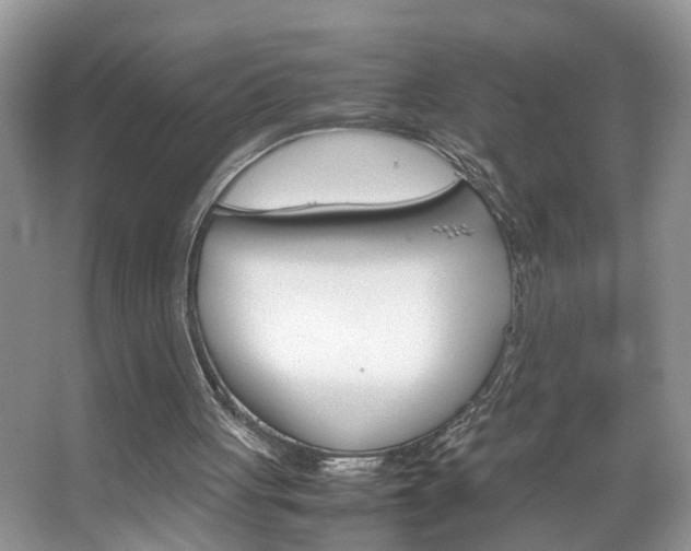 X0000067910051200604131119