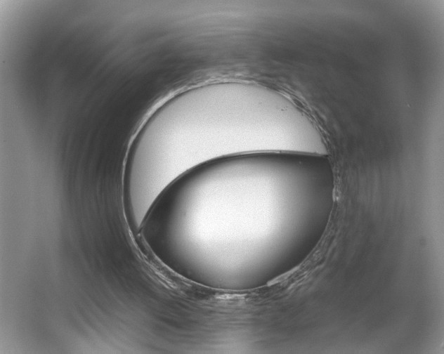 X0000067910052200604131119