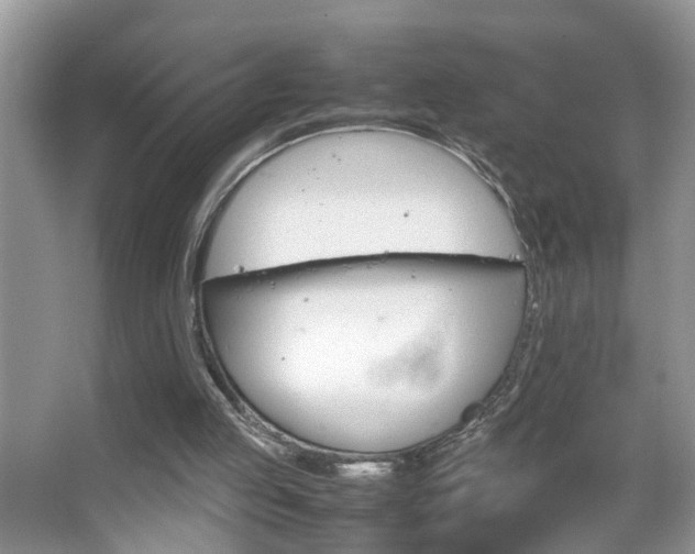 X0000067910053200604131119