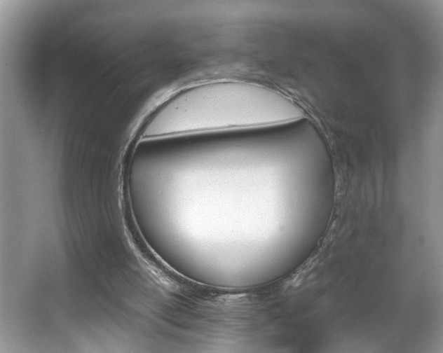 X0000067910054200604131119