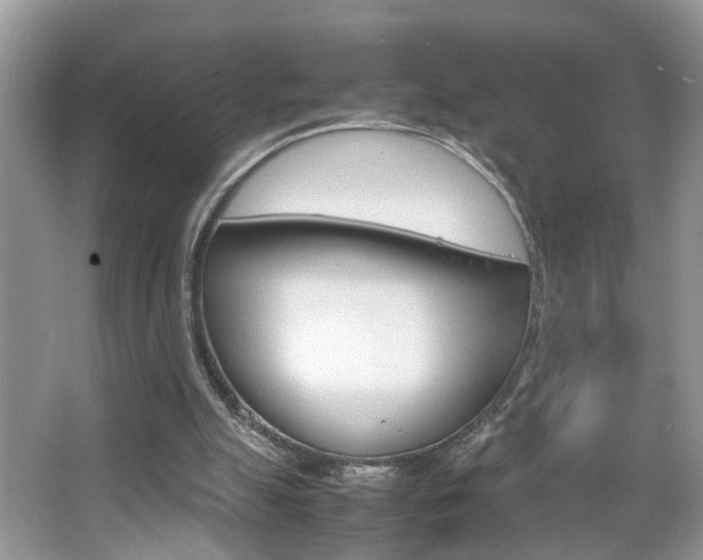 X0000067910055200604131119