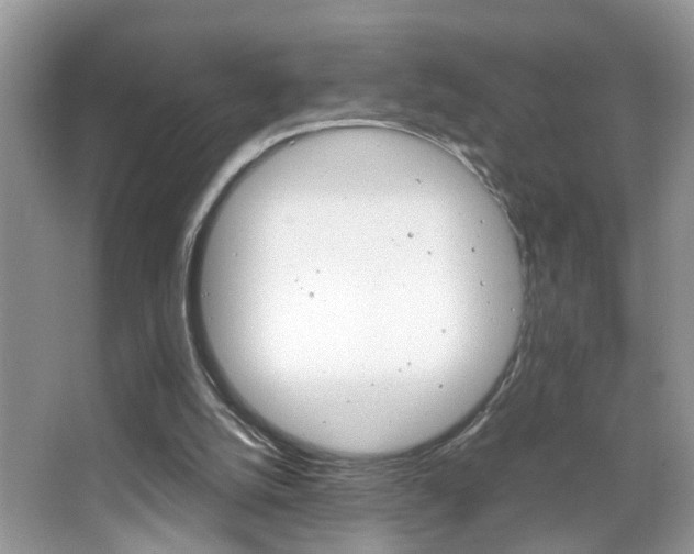 X0000067910056200604131119