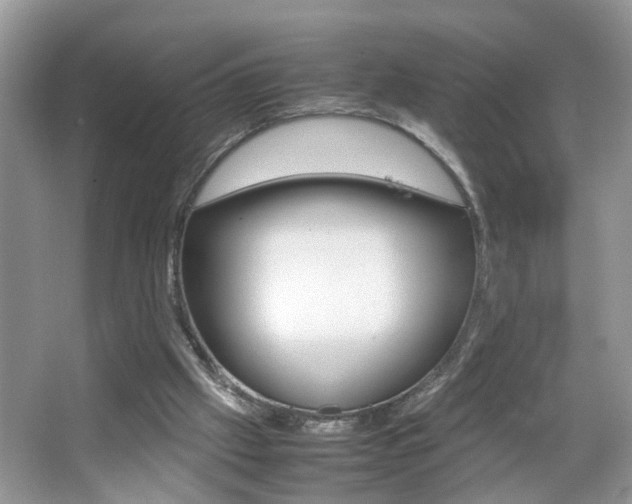 X0000067910057200604131119