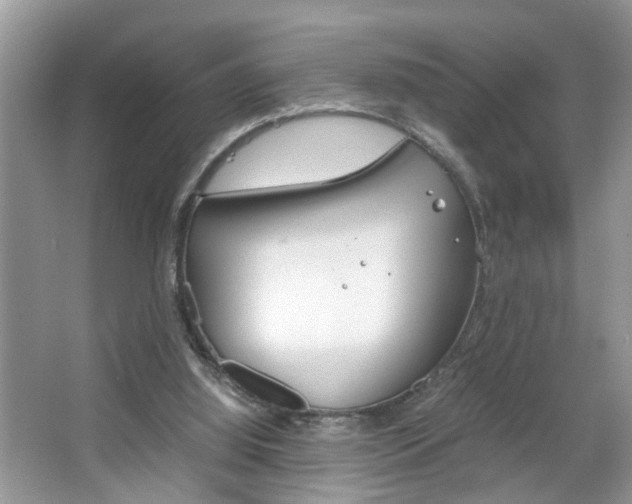 X0000067910060200604131119