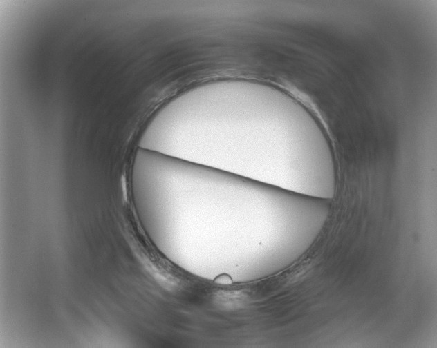 X0000067910061200604131119