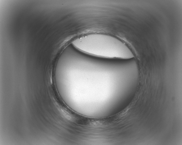 X0000067910062200604131119