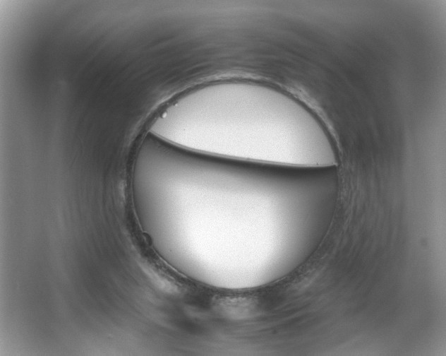 X0000067910063200604131119