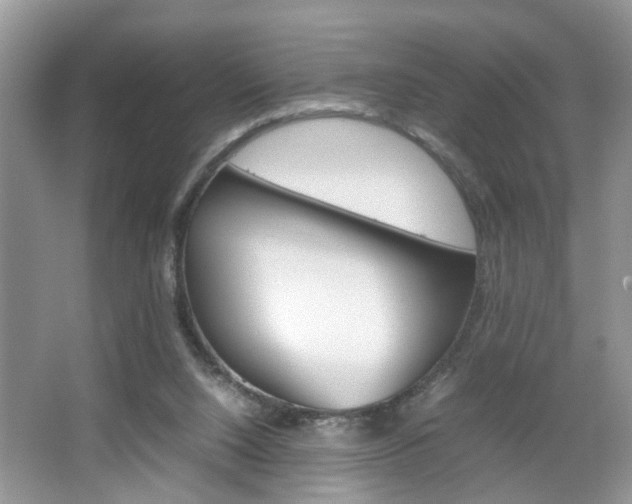 X0000067910064200604131119