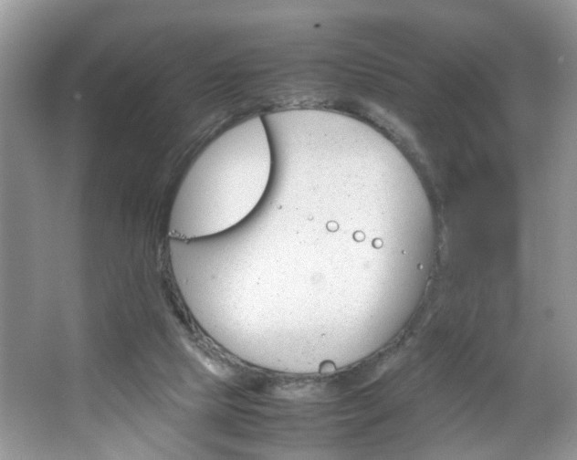 X0000067910065200604131119