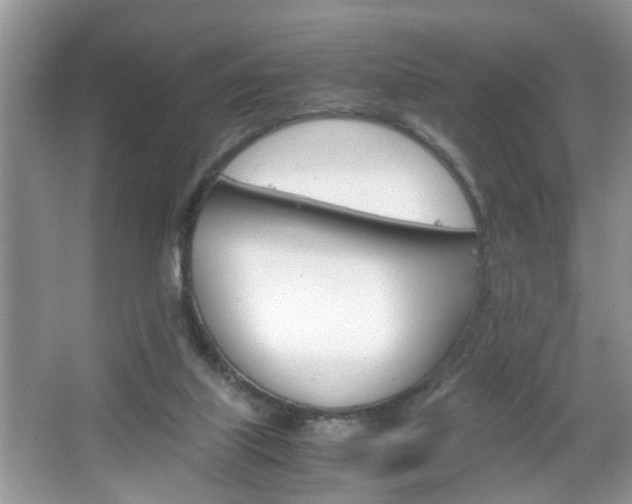 X0000067910067200604131119