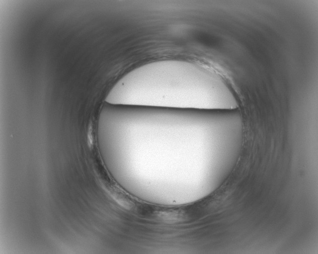 X0000067910069200604131119