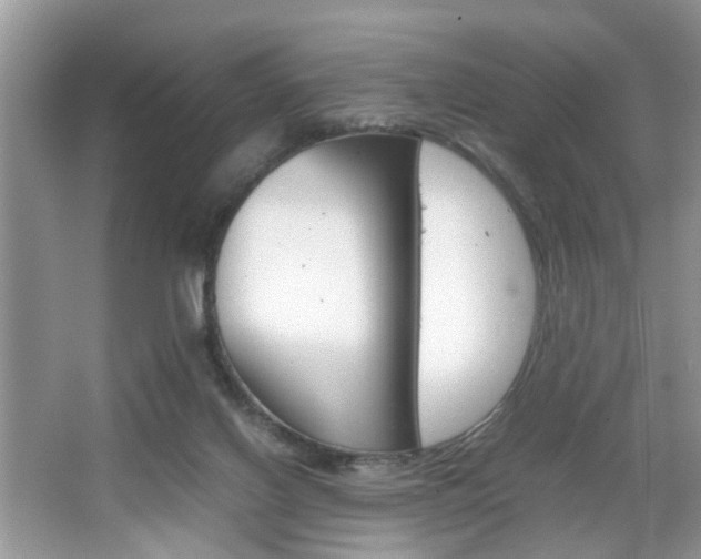 X0000067910070200604131119