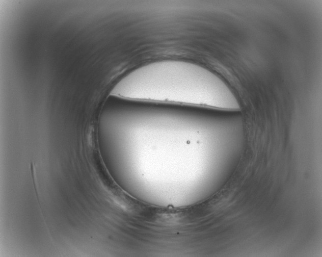 X0000067910071200604131119