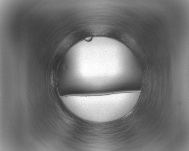 X0000067910074200604131119