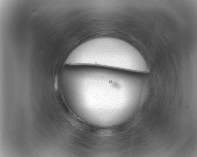 X0000067910075200604131119