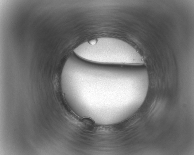 X0000067910077200604131119