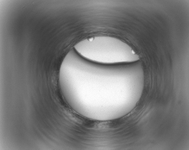 X0000067910078200604131119