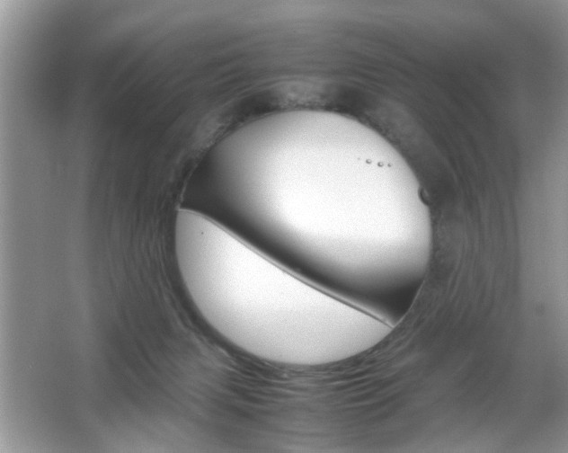 X0000067910079200604131119