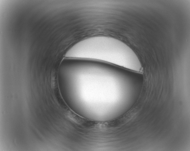 X0000067910080200604131119